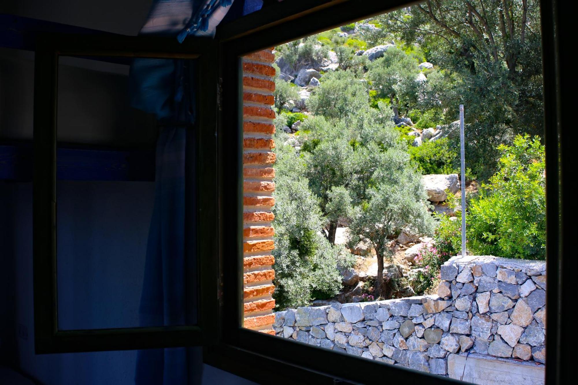 Haven Hills Social Club Hotel Chefchaouen Luaran gambar