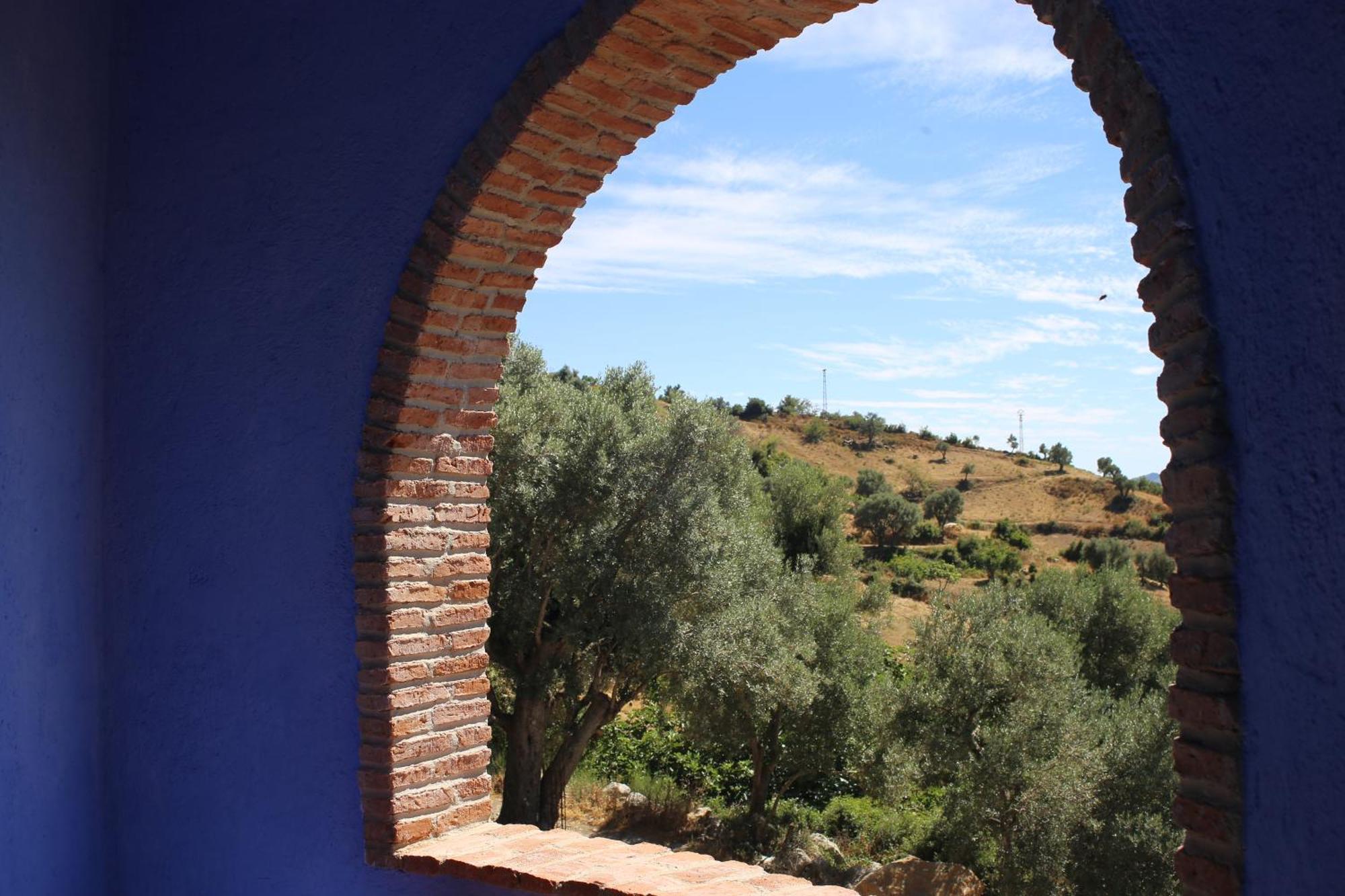 Haven Hills Social Club Hotel Chefchaouen Luaran gambar