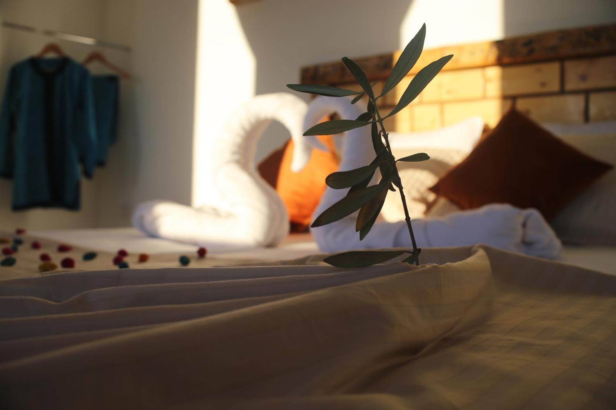 Haven Hills Social Club Hotel Chefchaouen Luaran gambar